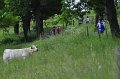 Course du 05-06-10 (171)